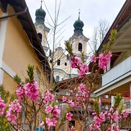 Rosenberger I Daire *